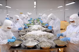 Vietnam's shrimp industry charts own course amid global competition
