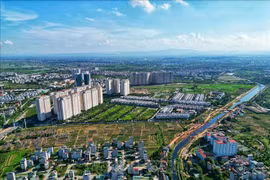 New Land Law important to national development: experts