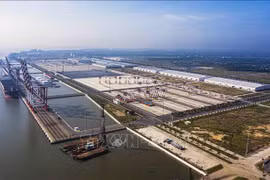 Digital transformation crucial for logistics growth: Insiders