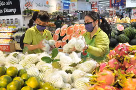 Fruit, vegetable exports expected to flourish in 2024