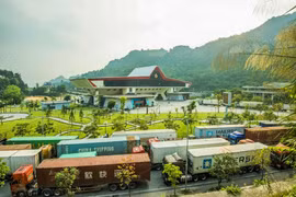 Vietnam, China see surge in border trade, with more to come