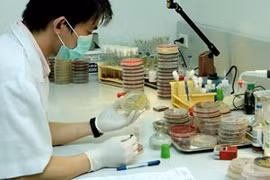 Samples tested (Photo: VNA)