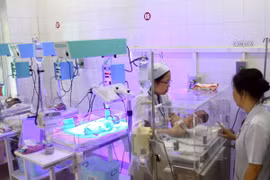 Nurses take care of a newborn (Photo: VNA) 