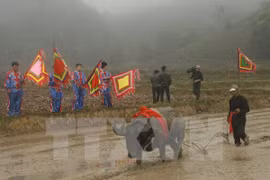 Tuyen Quang ethnic groups observe Long Tong festival 