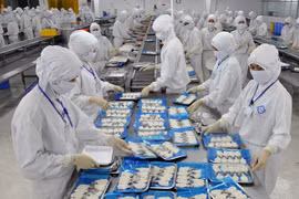 Shrimp is packaged for export (Photo: VNA)