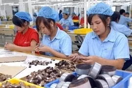 RoK wholly-invested company in HCM City Doo Jung Vietnam (Illustrative image)