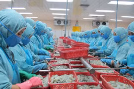Processing aquatic products (Source: VND)
