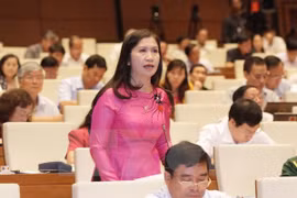 Scene at the session. Photo: VNA