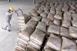 Cement consumption in the country posted a 30 percent year-on-year rise in January 2015. (Photo: VNA)