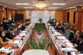 The meeting in Hanoi on Jan.20 (Photo: VNA)