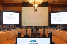 A view at the 10th APEC Telecommunications and Information Ministerial Meeting. (Photo: VNA)
