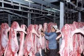A slaughter house in Da Nang (Photo: VNA)