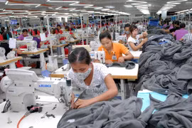 Singapore-invested garment company in Vietnam (Source: VNA)
