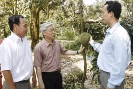 Tien Giang urged to boost rice and fruit growing