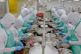 Processing seafood for export (Photo: VNA)