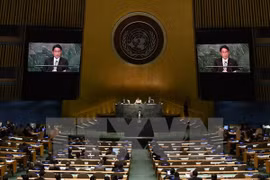 Scene at the conference. Photo: VNA