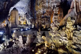 Thiên Đường Cave (Paradise Cave) is a cave in Phong Nha-Kẻ Bàng National Park, UNESCO's World Heritage Site, 60 km northwest of Đồng Hới city (Photo:VNA)