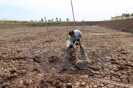 Shrimp breeding farm suffers from drought (Illustrative image. Source: VNA)