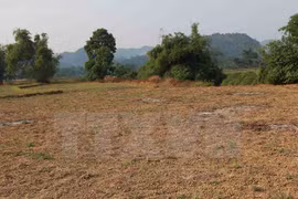 Farming land in Ha Giang lack water (Source: VNA)