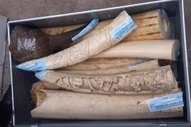 The material was contained in two packages sent from France (Photo: 24h.com.vn)