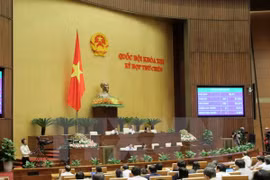 NA members vote to adopting a 2016 resolution on NA inspection activities. Photo: VNA