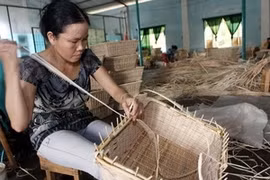 Escaping from poverty from ADB loans (Source: VNA)
