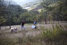 A scene of Rainbow Without Colour directed by Nguyen Quang Tuyen (Photo courtesy of movie crew)