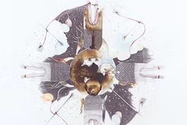 ‘Disconcerting imagery': A work of French artist Sandrine Llouquet at the exhibition Carne Vale at Galerie Quynh in HCM City.