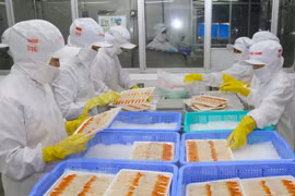 Processing export seafood. Photo: VNA