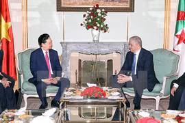 Prime Minister Nguyen Tan Dung (L) at his talks with his Algerian counterpart Abdelmalek Sellal (Photo: VNA)