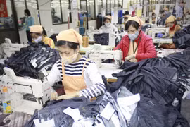 Producing jeans for export (Photo: VNA)