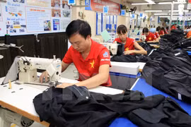 Assembly line of exported apparel. Photo: VNA