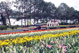 A part of Da Lat during the Flower Festival 2012 (Photo: VNA)
