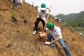 Honda Vietnam leaders take part in the tree planting project. Source: VNA 