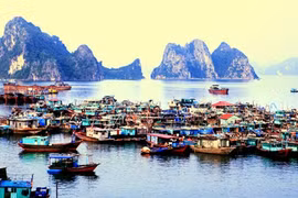 Tourist boats dock at the Van Don Habour in Quang Ninh province, which is home to Ha Long Bay (Photo: VNA)