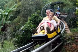 Foreigner tourists in Lam Dong (Source: VNA)