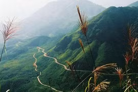 Hoang Lien National Park covers an area of nearly 30,000ha, spreading across six upland communes of Lao Cai Province's Sa Pa District and Lai Chau Province's Than Uyen District (Photo: VNA)