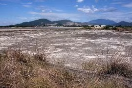 Dioxin detoxification at Da Nang airport is on progress. Photo: VNA