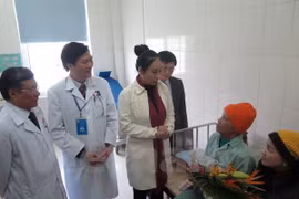Doctors and health officials visited the two patients (Photo: VNA)