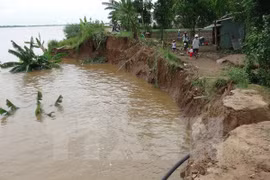 A part of the bank of the Tien River in An Hoa village, Long Thuan commune of Dong Thap province, is eroded (Photo: VNA)