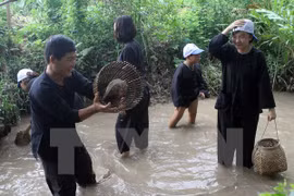 Tourists try fishing as farmers (Photo: VNA)