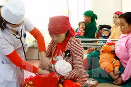 Vietnam's birth rate reduced by 0.01 percent and have a ratio of 112.2 boys per 100 girls in 2014, compared to 112.5 boys in 2013. Photo: VNA