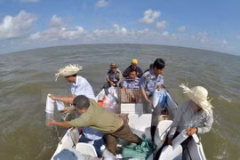 The Mekong Delta province of Bac Lieu releases shrimp fry into the sea (Photo: VNA)