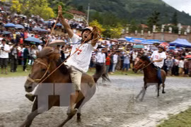 Bac Ha horse race in 2014 (Source: VNA)