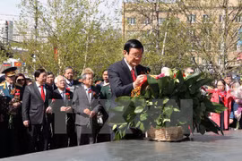 President Truong Tan Sang at the airport (Source: VNA)