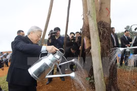 Party General Secretary Nguyen Phu Trong waters a newly planted tree at the Hoa Lac Hi-tech Park (Photo: VNA)