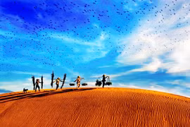 (Source:sggp.org.vn)