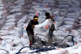 Rice import in Manila (Source: Xinhua/VNA)