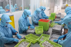 Vietnam, Myanmar will increase cooperation in seafood, oil and gas, and information-communication (Photo: VNA)