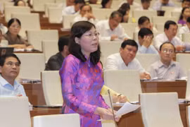 NA Deputy Le Thi Yen from Phu Tho speaks at the session. (Photo: VNA)